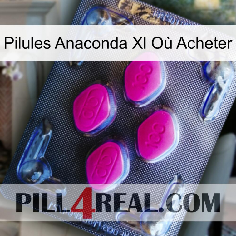 Pilules Anaconda Xl Où Acheter 02
